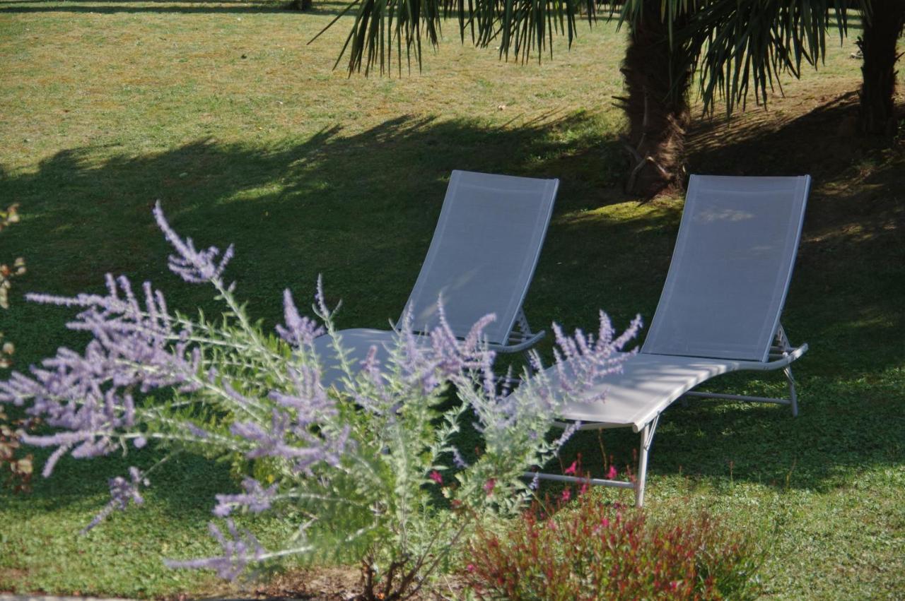La Lilas Des Fargues Maison D'Hotes Albi Exterior foto
